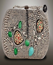 Meera Mahadevia's Collection